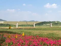 -光明小镇欢乐田园