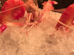 -斯普汇生蚝牛排馆(中骏世界城店)