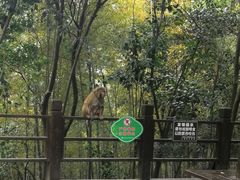 -上海佘山国家森林公园西佘山园