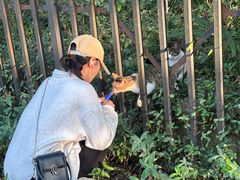 -合肥野生动物园
