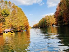 -上海海湾国家森林公园