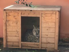 -青藏高原野生动物园