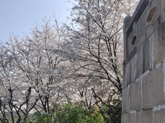 -苏州上方山国家森林公园