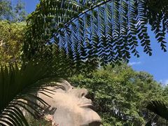 -西双版纳基诺山寨
