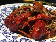 麻辣蒜蓉小龙虾-功夫小龙虾·烧烤·江湖菜(金沙洲店)