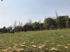 -蜀冈西峰生态公园