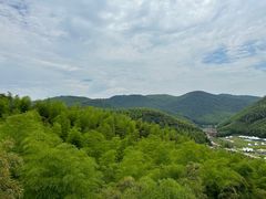 -莫干山风景区
