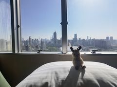 -上海新锦江大酒店