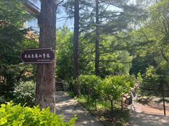 -吉林市朱雀山国家森林公园