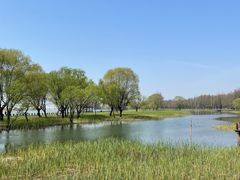 -苏州太湖湖滨国家湿地公园