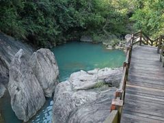 -广州白江湖森林公园