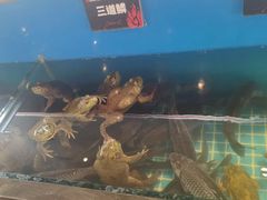 -鼎原力量东北吊炉烧烤(幸福街店)
