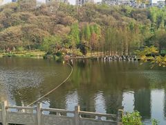 -重庆彩云湖湿地公园
