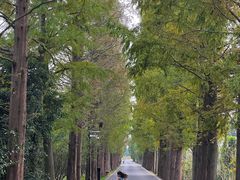 -广富林郊野公园