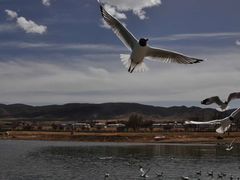 -青海湖国家重点风景名胜区