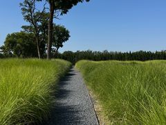 -汉长安城未央宫国家考古遗址公园
