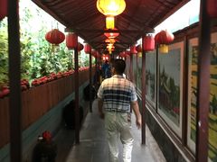-窄巷子陕菜馆·地道陕西菜(粉巷店)