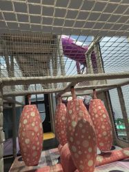 -奈尔宝·国风主题儿童乐园·亲子餐厅(豫园商城店)