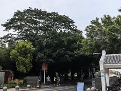 -滨海公园