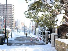 -北海道神宫