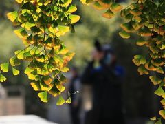 -北京石刻艺术博物馆(五塔寺)