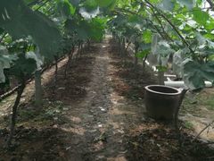 -泉福居酱骨头自助广场(南大街商业步行街店)