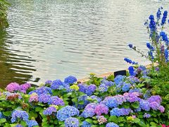 -荔湾湖公园
