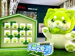 -哈尔滨热雪奇迹