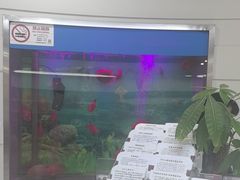 -雅悦齿科(顾村公园店)