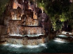 -拉斯维加斯永利酒店