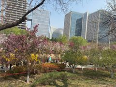 -元大都城垣遗址公园