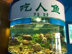 -厦门海底世界