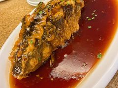 老济南糖醋鲤鱼-金春禧(世茂国际广场店)