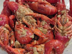 -京B·东篱精酿啤酒音乐餐厅