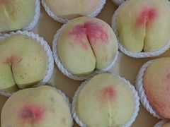 -老袁家蜜桃农场·阳山水蜜桃