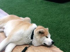-YCHL Studios健身工作室(市二宫店)