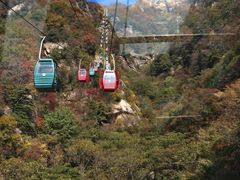 -王顺山国家森林公园