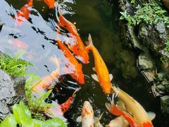 -北园酒家(小北路店)