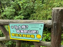 -瓦屋山景区