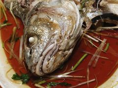 -和源祥·日照菜扛把子(万平口一店)