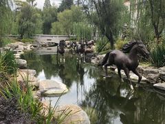-云南省图书馆