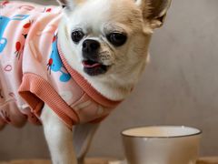 -Joymean coffee.见面咖啡