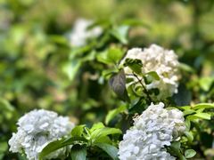 -杭州城北体育公园