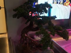 -俏江南天津时尚曲艺主题餐厅(马场道店)