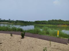 -东郊湿地公园