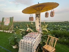 -七的湖·晚芳亭·阳澄湖农家菜·大闸蟹(莲花岛店)