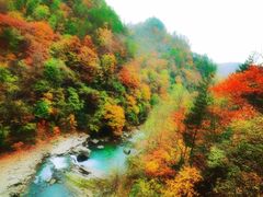 -黎坪国家森林公园
