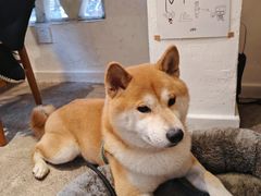 -三目仓咖啡(贤南路店)