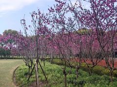 -上海市龙华烈士陵园