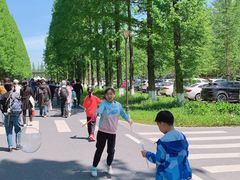 -黄海国家森林公园